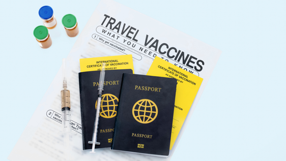 travel clinic, travel health advice, travel vaccines, vaccinations for travelling abroad, malaria prevention, travel clinic cheltenham